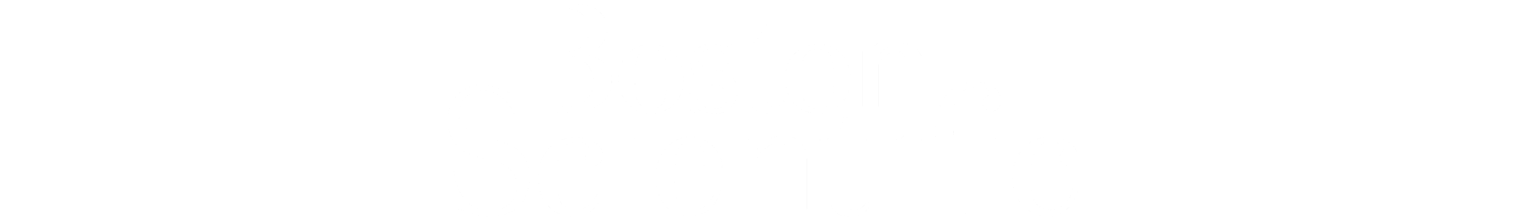 Boston Scientific